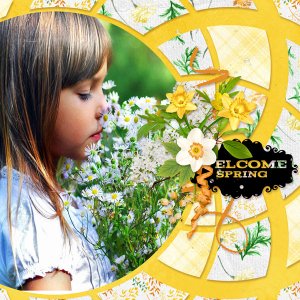 01-Welocme-Spring