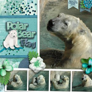 Polar Bear Play