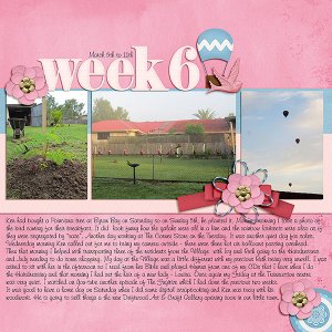 Mix It Up Challenge - P52Week 10