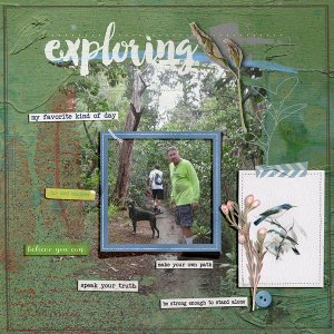 Exploring the loop