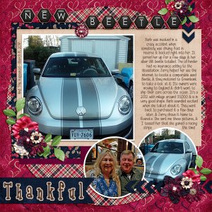 Beetle Mania