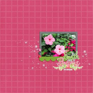 March 2017 WA Challenge