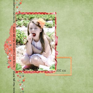 at the strawberry patch