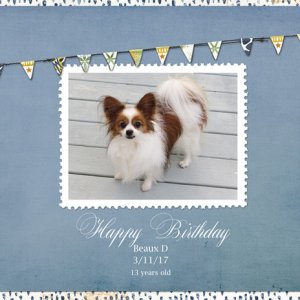 Happy Birthday Beaux D 3-11-17