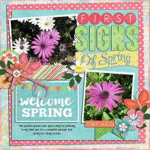 first signs of spring
