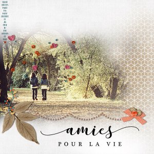 Amies pour la Vie