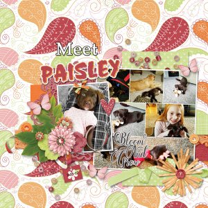 Meet Paisley