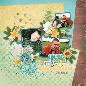 You Are My Sunshine