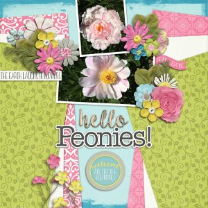 Hello Peonies!