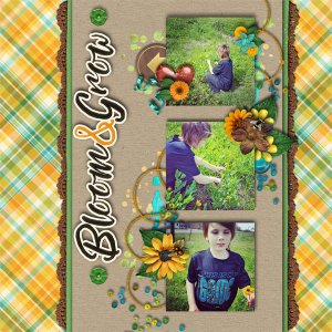 Bloom and Grow