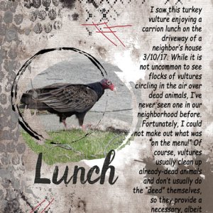 Lunch