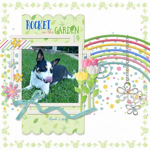 Rocket in the Garden