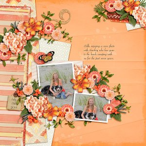 AimeeHarrison-OrangeSpice_HandTossed1Temp-Bella2014