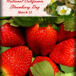 ATC 2017-43 National California Strawberry Day