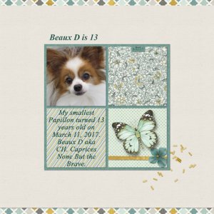 Beaux D is 13