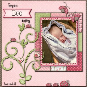 Snug as a Bug