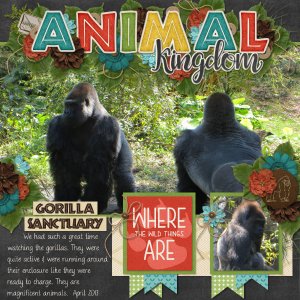 Animal Kingdom Gorilla Sanctuary {2013}
