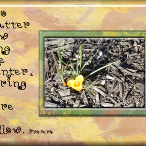 Spring
