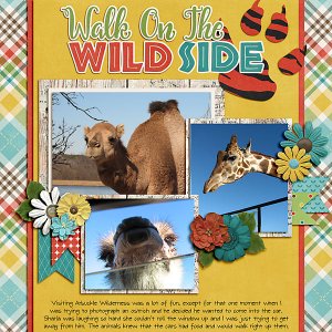 Walk On The Wild Side