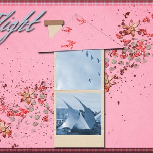 Flight