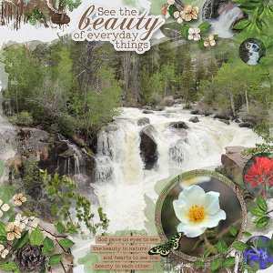 Nature's Beauty