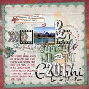 Wild + Free