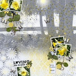 Spring Sunshine