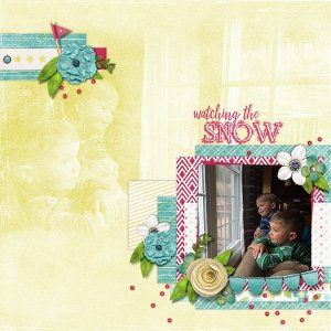 Watching the Snow... In Spring
