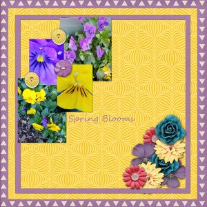 Spring Blooms