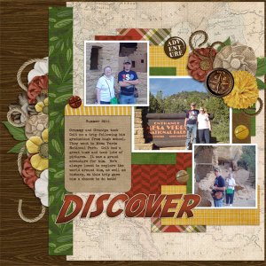 Discover