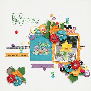 Bloom