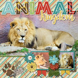 King of the Jungle
