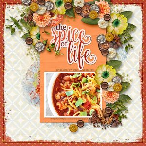 THE SPICE OF LIFE