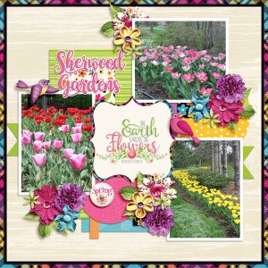 Sherwood Gardens