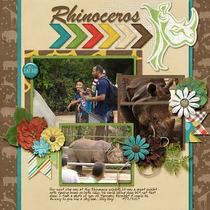 Rhinoceros