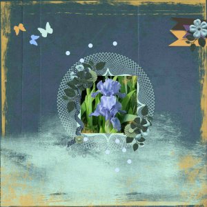 Spring flowers