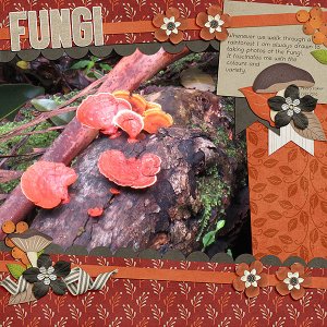 Fungi