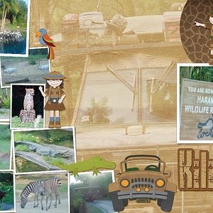 Safari - double page