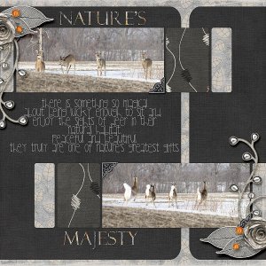 NaturesMajesty-600