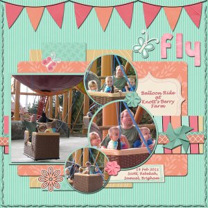 Fly