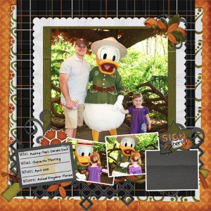 DonaldDuck_sm
