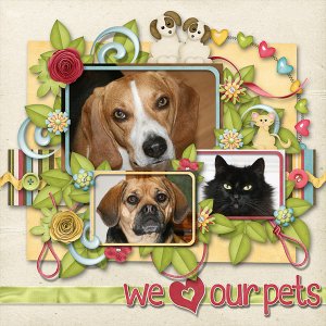 we love our pets