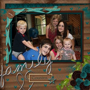 cousins-2010-web
