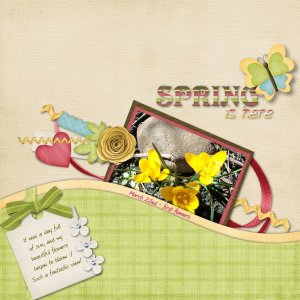 spring