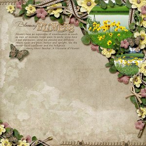 Blooming Flowers