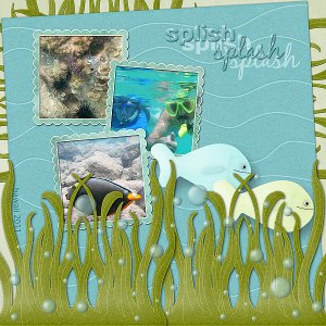 Splish Splash