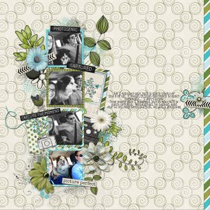 Photos with Max | March 2017