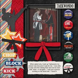 Chop Block Kick