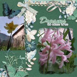 Garden full of flowers
