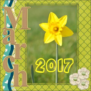 Spring Daffs, March 2017